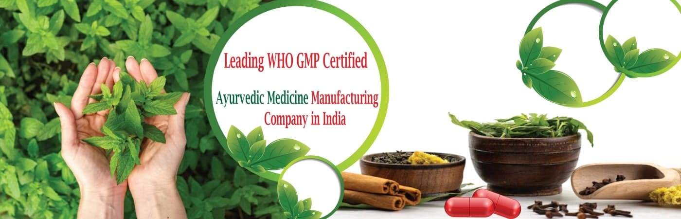 Ayuvends Website Banner