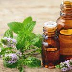 Ayurvedic Medicine Manufacturers