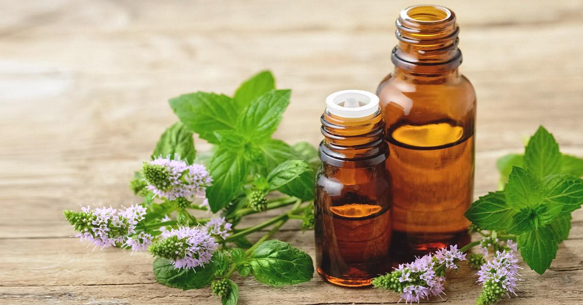 Check Out the Best Ayurvedic Medicine Manufacturers in India